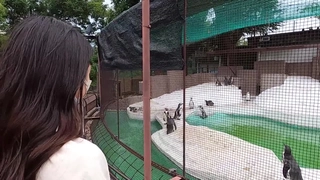 把远房亲戚表妹给搞了，来城市找不到工作，寄宿在俺家，无套进入她还有点害羞喽