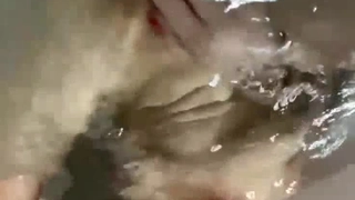 日出文化原創-年前的第一炮